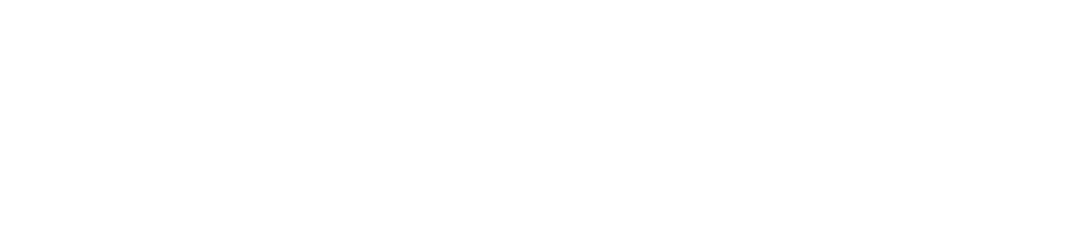 GovCIO Logo White